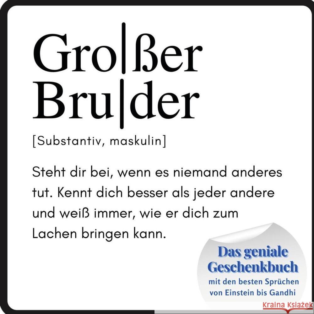 Großer Bruder Meier, Steffi 9783750515185 27amigos