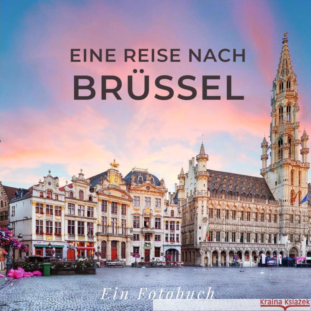 Eine Reise nach Brüssel Sardí, Tania 9783750515253 27amigos