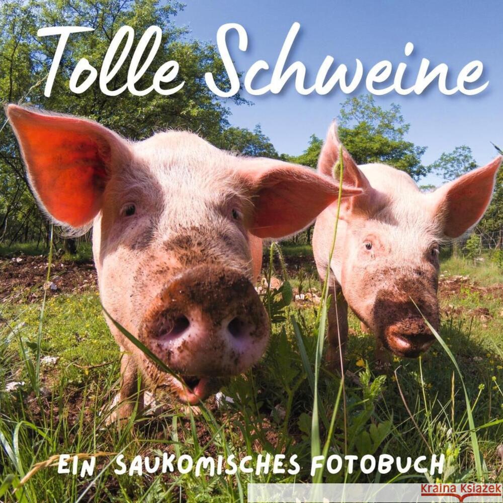 Tolle Schweine Hübsch, Bibi 9783750515314 27amigos