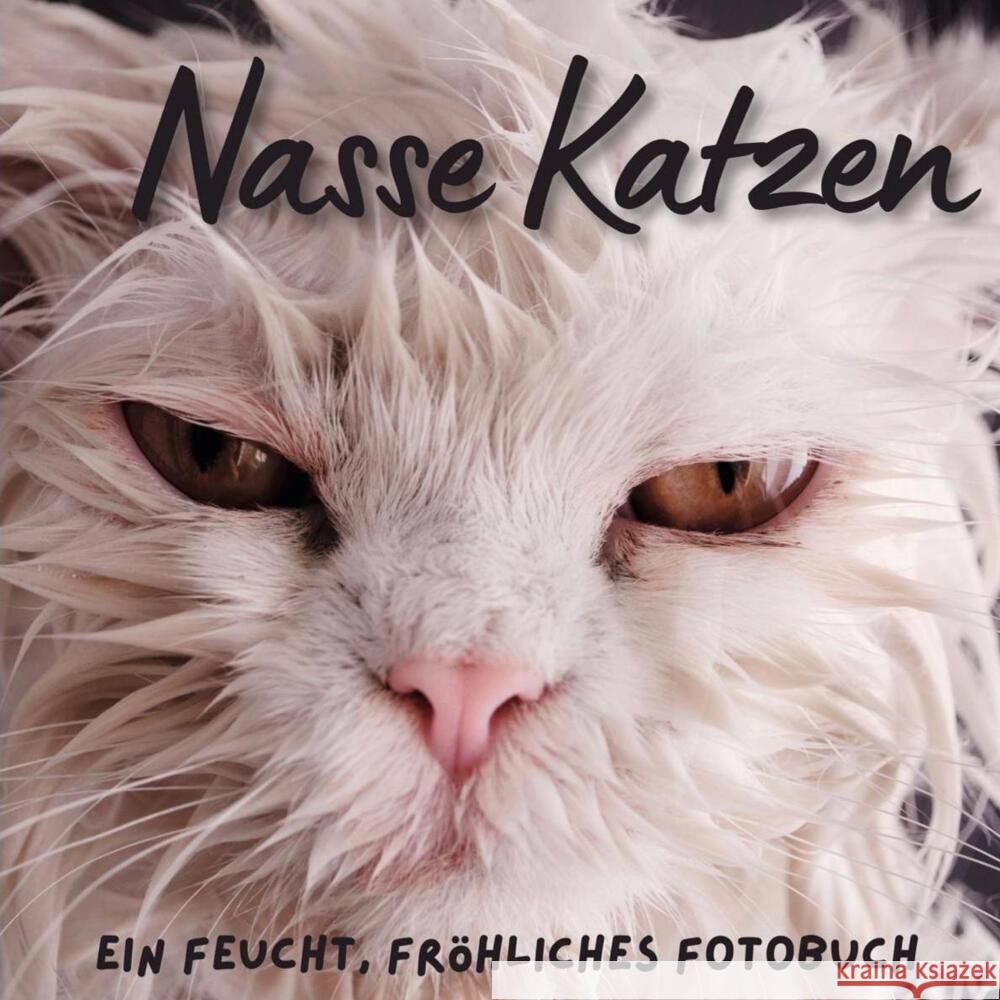 Nasse Katzen Hübsch, Bibi 9783750515710