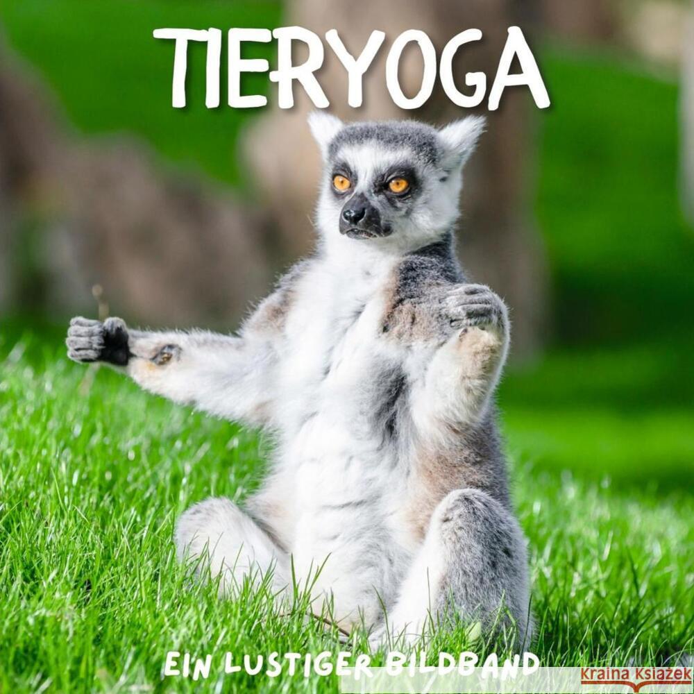 Tieryoga Fröhlich, Tim 9783750515819 27amigos