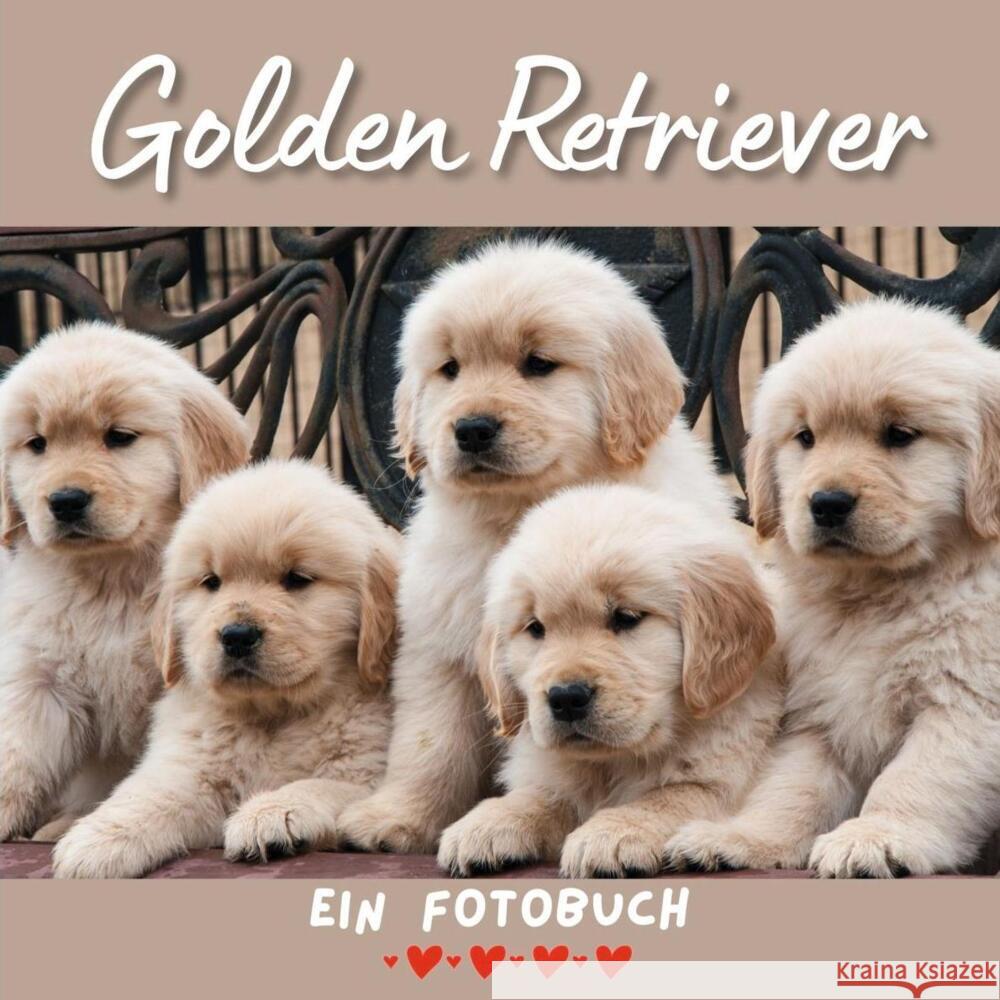 Golden Retriever Hübsch, Bibi 9783750515864