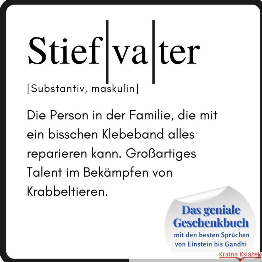 Stiefvater Meier, Steffi 9783750516915