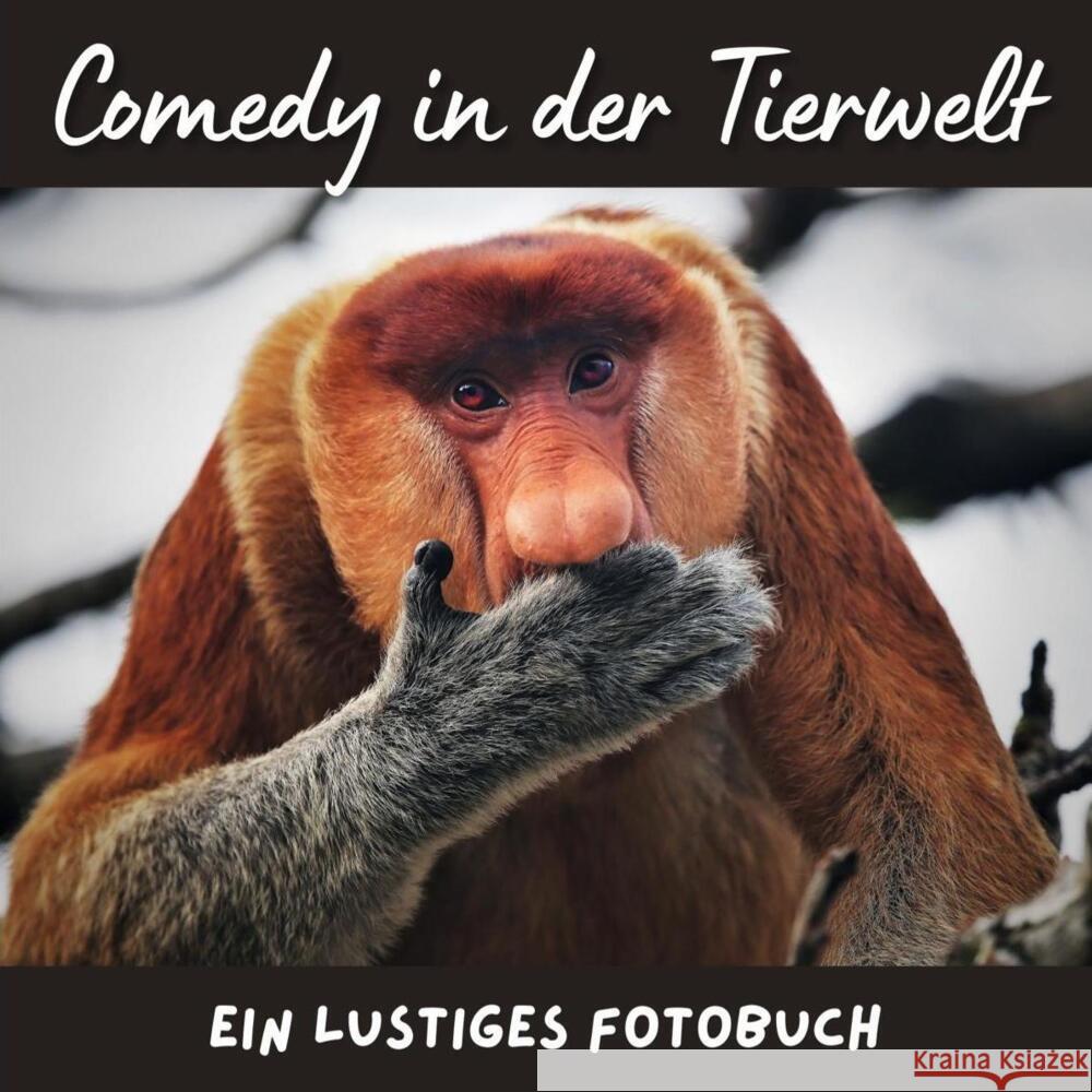 Comedy in der Tierwelt Hübsch, Bibi 9783750517196