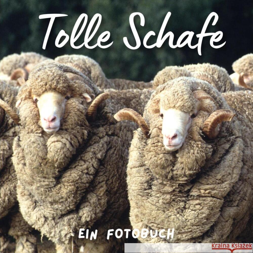 Tolle Schafe Hübsch, Bibi 9783750517691