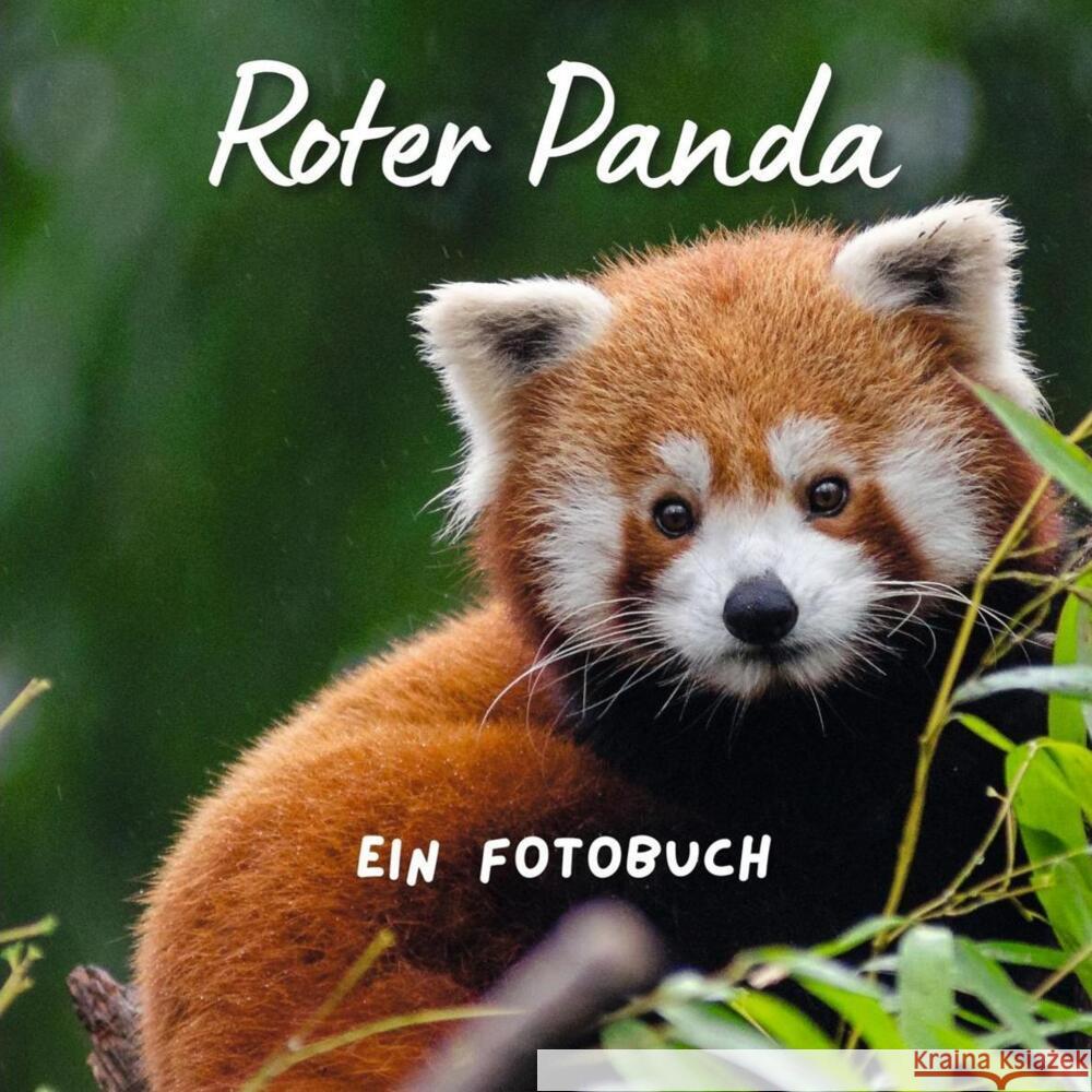 Roter Panda Hübsch, Bibi 9783750518063