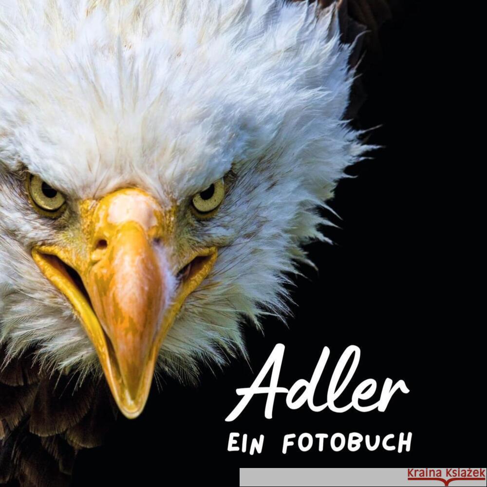 Adler Hübsch, Bibi 9783750518261