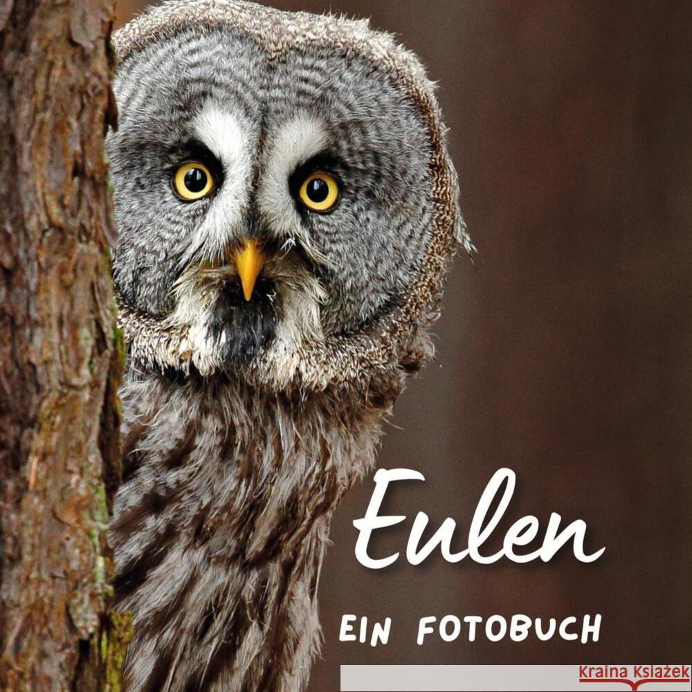 Eulen Hübsch, Bibi 9783750518308