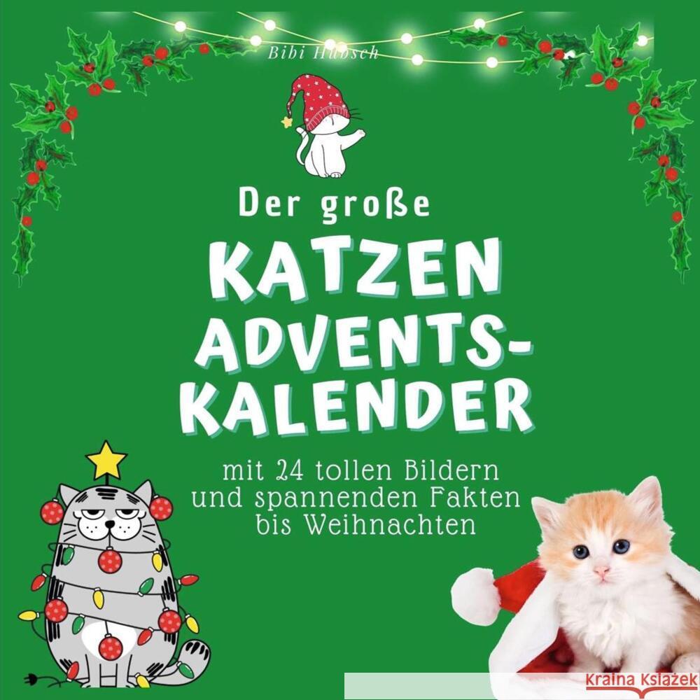 Der grosse Katzen-Adventskalender Hübsch, Bibi 9783750524187
