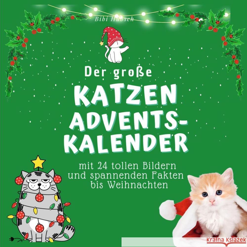 Der grosse Katzen-Adventskalender Hübsch, Bibi 9783750525658 27amigos