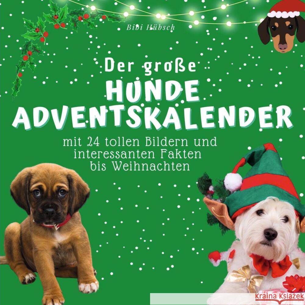 Der grosse Hunde-Adventskalender Hübsch, Bibi 9783750526235