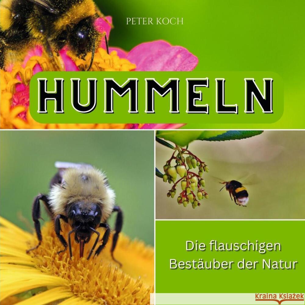 Hummeln Koch, Peter 9783750562929