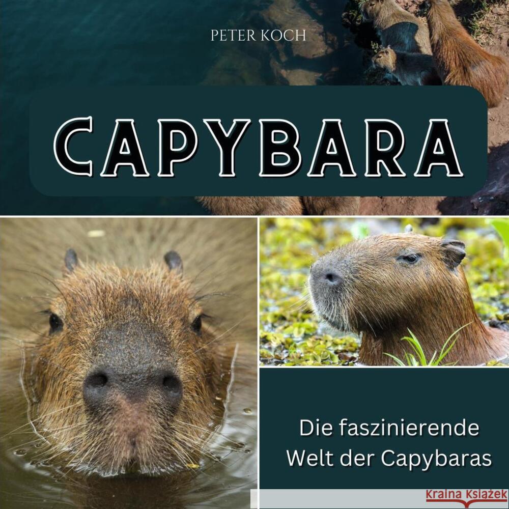 Capybara Koch, Peter 9783750562981