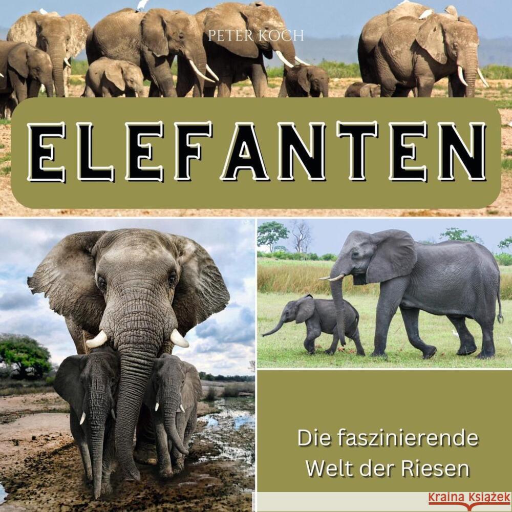 Elefanten Koch, Peter 9783750563001