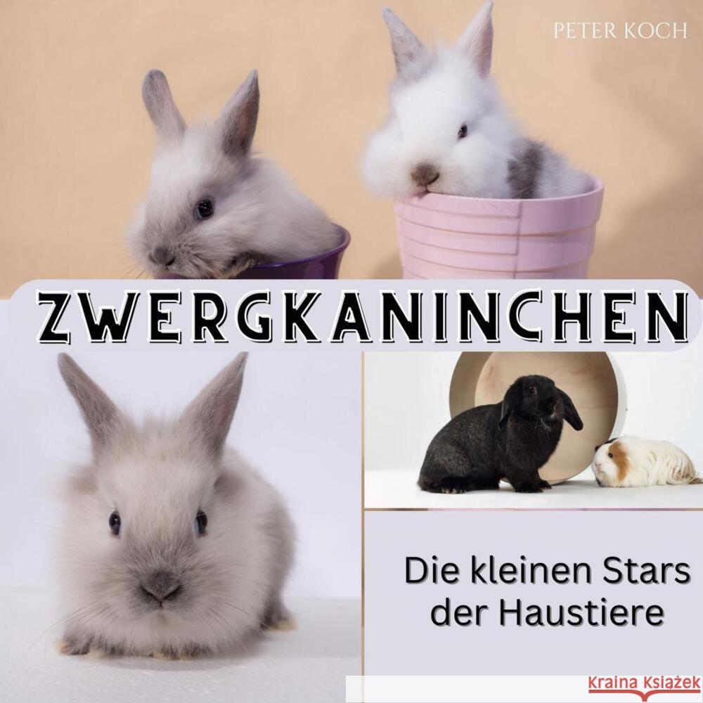 Zwergkaninchen Koch, Peter 9783750563636