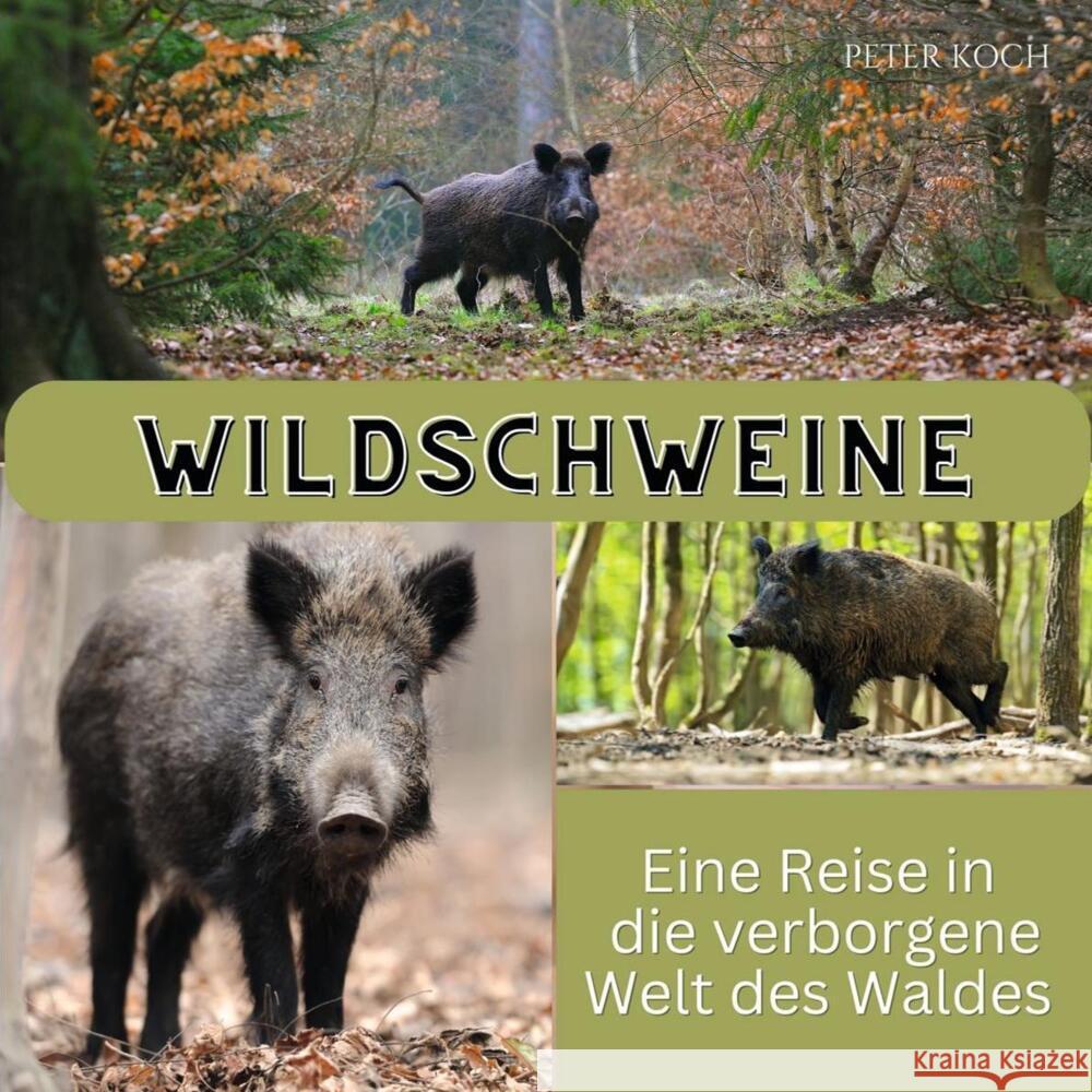 Wildschweine Koch, Peter 9783750563643