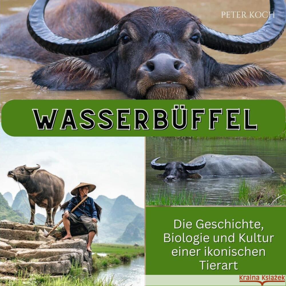 Wasserbüffel Koch, Peter 9783750563650