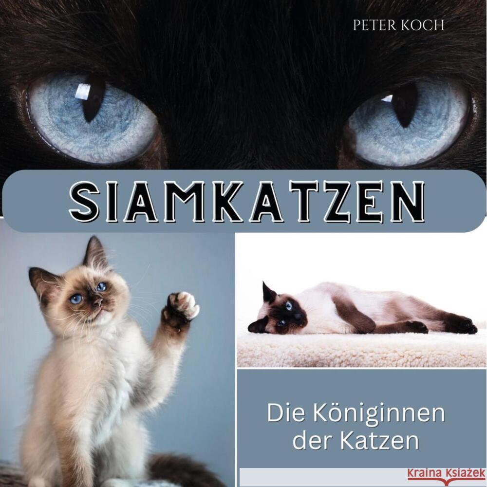 Siamkatzen Koch, Peter 9783750563704