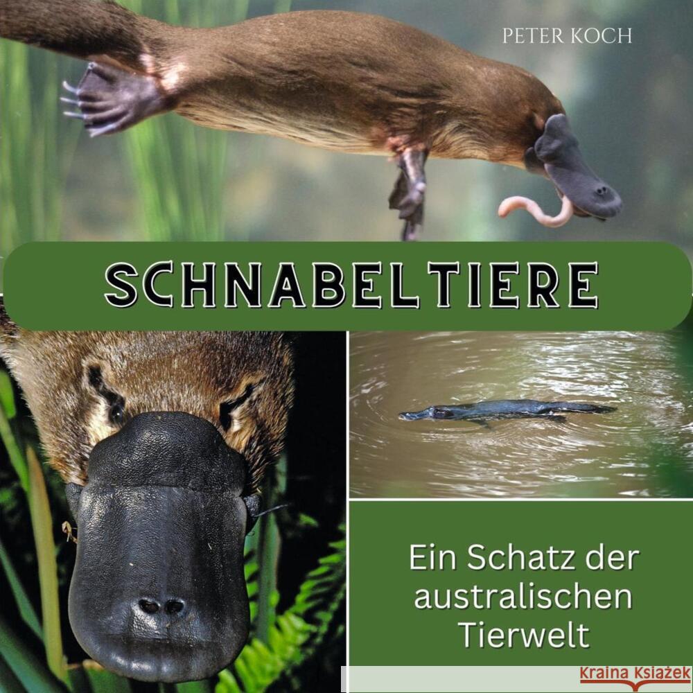 Schnabeltiere Koch, Peter 9783750563728