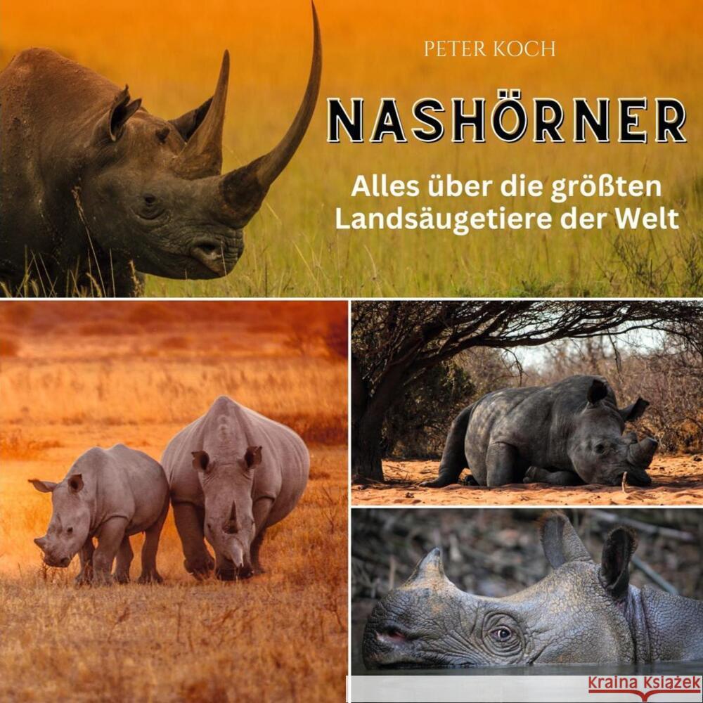 Nashörner Koch, Peter 9783750563797