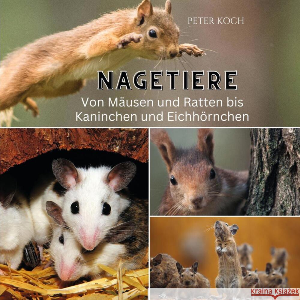 Nagetiere Koch, Peter 9783750563803