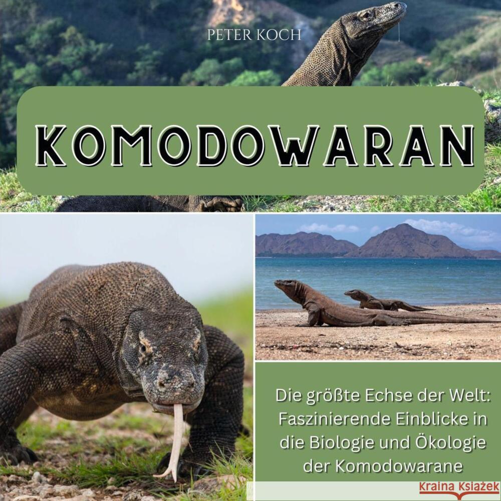 Komodowaran Koch, Peter 9783750565272