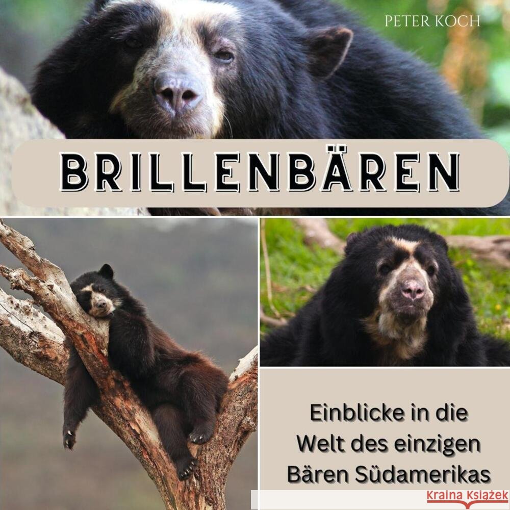 Brillenbären Koch, Peter 9783750565302 27amigos