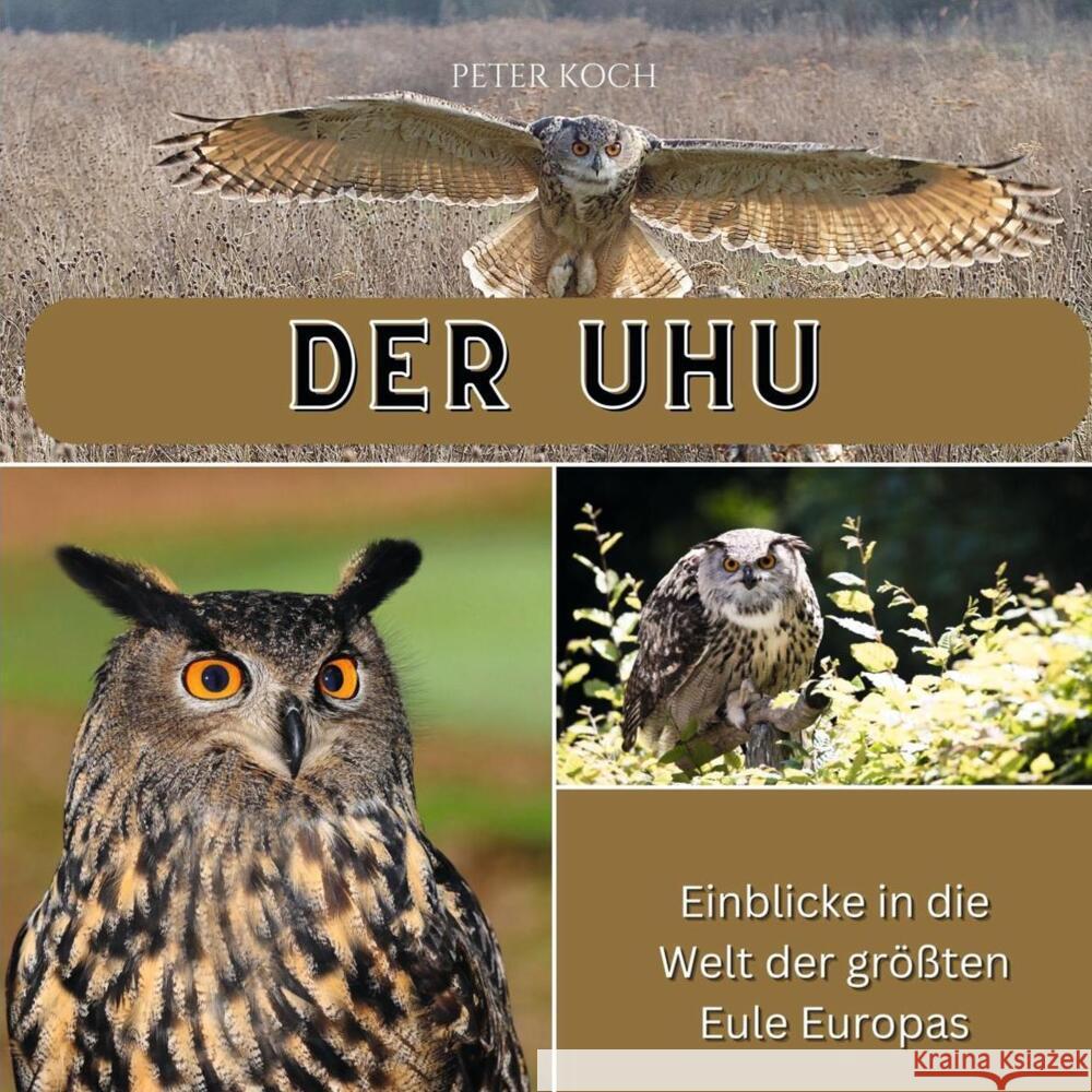 Der Uhu Koch, Peter 9783750565319