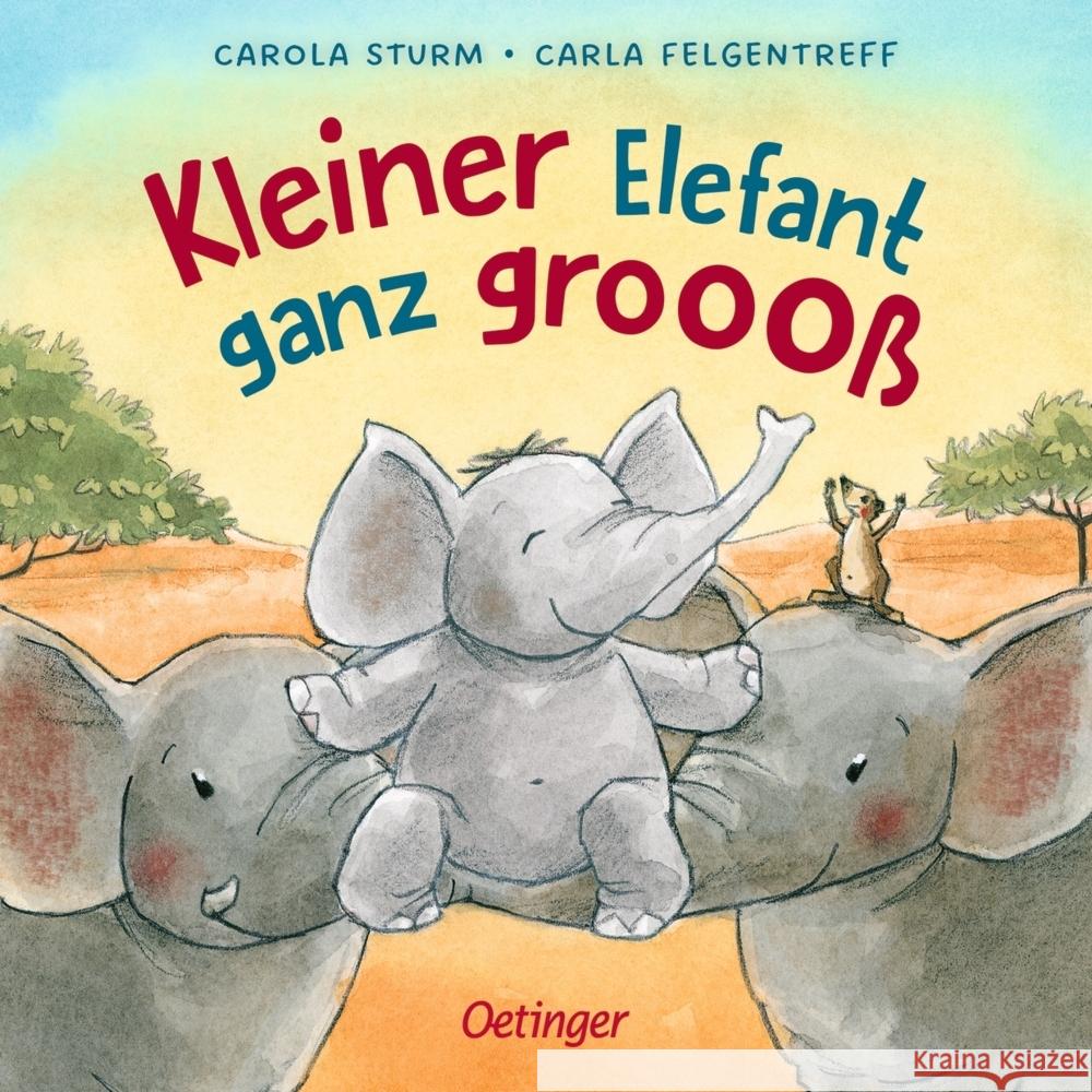 Kleiner Elefant ganz groooß Felgentreff, Carla 9783751201919