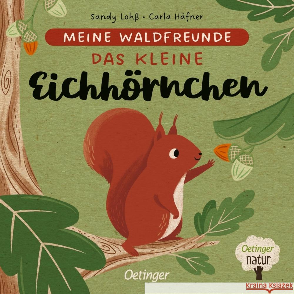 Meine Waldfreunde. Das kleine Eichhörnchen Häfner, Carla 9783751202398 Oetinger