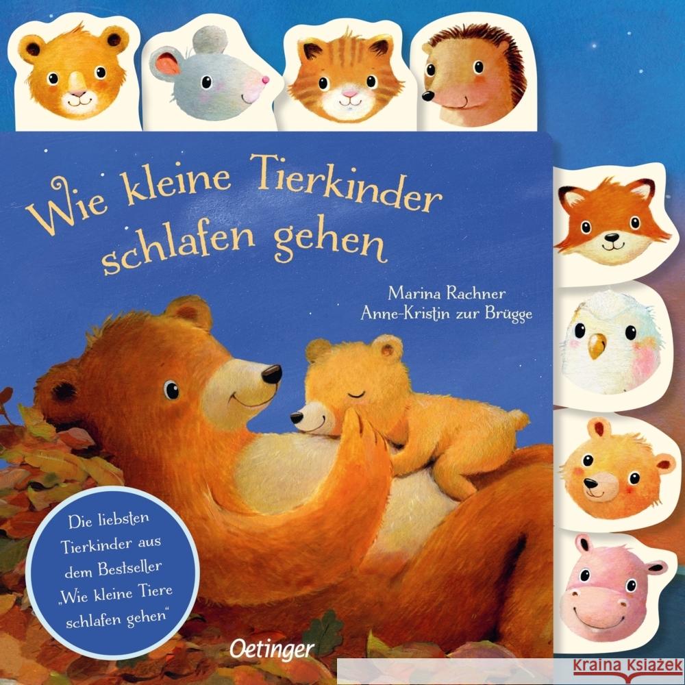 Wie kleine Tierkinder schlafen gehen Zur Brügge, Anne-Kristin 9783751202534