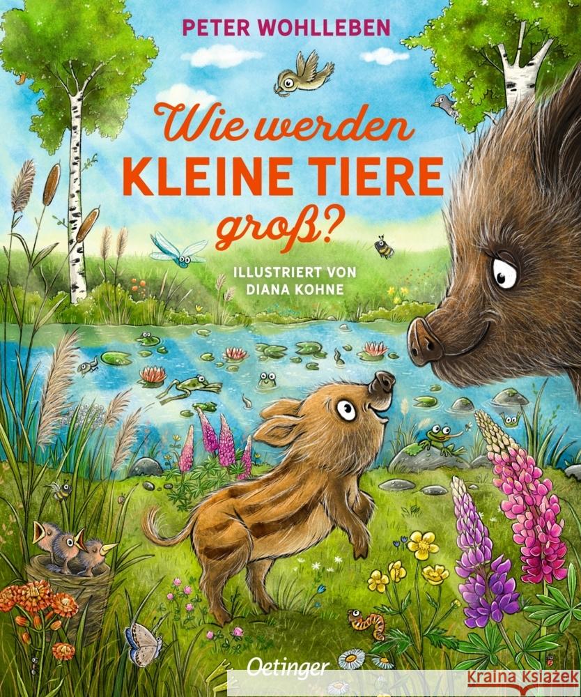 Wie werden kleine Tiere groß?, 7 Teile Wohlleben, Peter 9783751203999