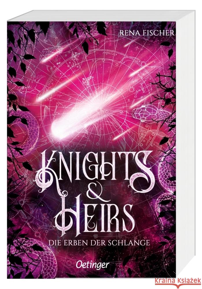 Knights & Heirs 2. Die Erben der Schlange Fischer, Rena 9783751205399 Oetinger
