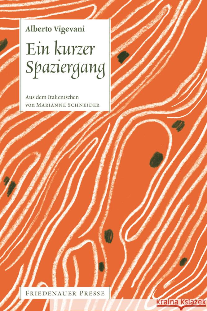 Ein kurzer Spaziergang Vigevani, Alberto 9783751806022 Matthes & Seitz Berlin