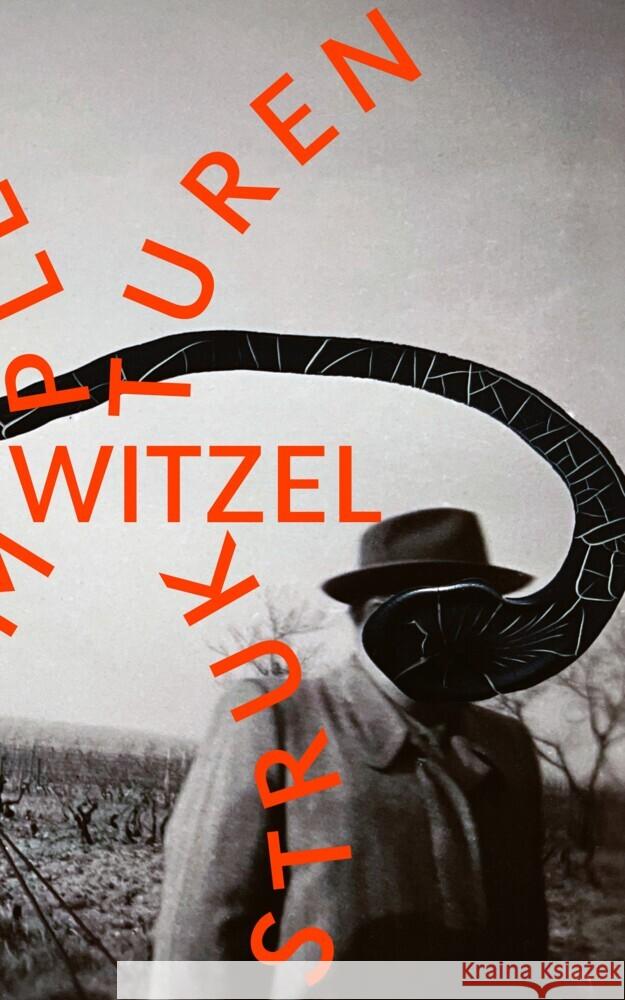 Komplexe Strukturen Witzel, Frank 9783751810333