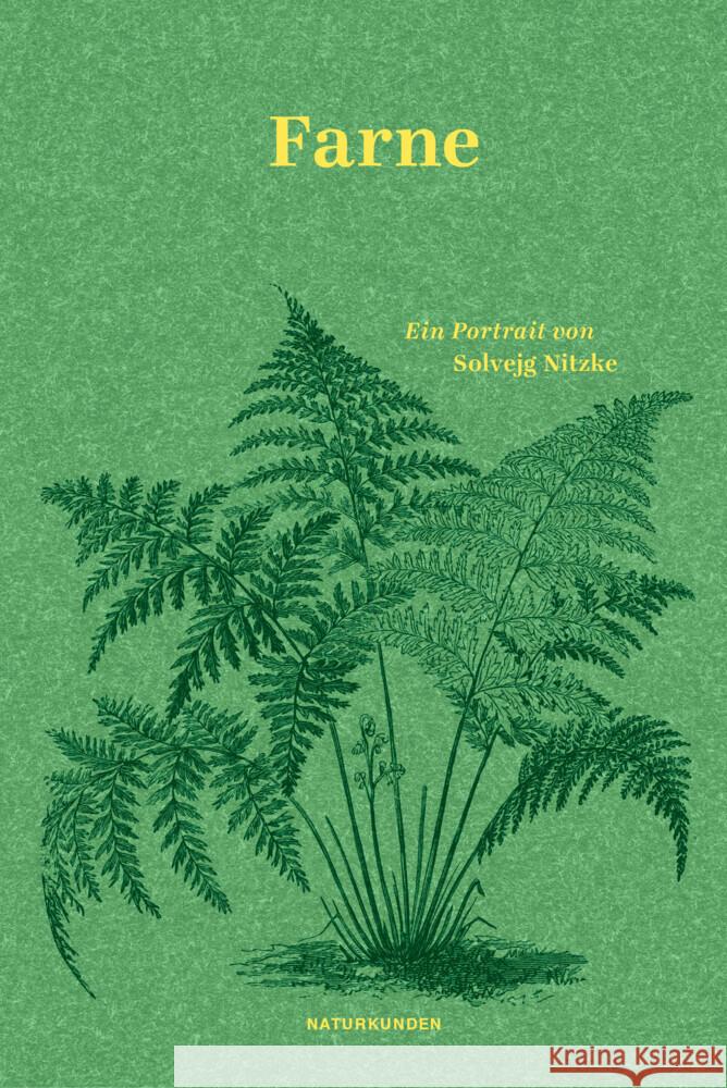 Farne Nitzke, Solvejg 9783751840217