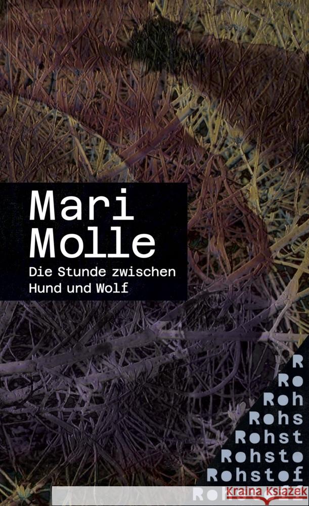 Die Stunde zwischen Hund und Wolf Molle, Mari 9783751870085