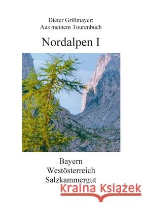 Nordalpen I: Aus meinem Tourenbuch Grillmayer, Dieter 9783751914390