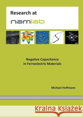 Negative Capacitance in Ferroelectric Materials Michael Hoffmann 9783751999366