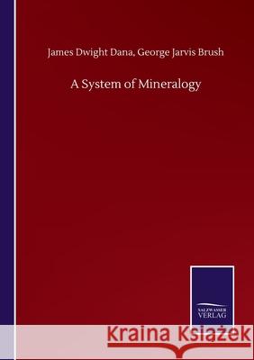 A System of Mineralogy James Dwight Brush George Jarvis Dana 9783752512885