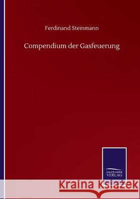 Compendium der Gasfeuerung Ferdinand Steinmann 9783752514360