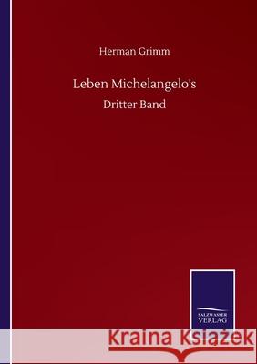 Leben Michelangelo's: Dritter Band Herman Grimm 9783752517101 Salzwasser-Verlag Gmbh
