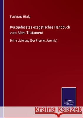 Kurzgefasstes exegetisches Handbuch zum Alten Testament: Dritte Lieferung (Der Prophet Jeremia) Ferdinand Hitzig 9783752550184 Salzwasser-Verlag