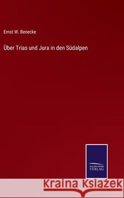 Über Trias und Jura in den Südalpen Ernst W Benecke 9783752550719