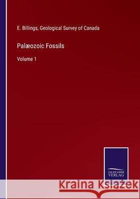 Palæozoic Fossils: Volume 1 Billings, E. 9783752589269