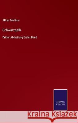 Schwarzgelb: Dritter Abtheilung Erster Band Alfred Meißner 9783752599930