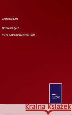 Schwarzgelb: Vierte Abtheilung Zweiter Band Mei 9783752599954 Salzwasser-Verlag