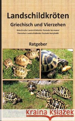 Landschildkröten Griechisch und Vierzehen Pade, Wolfgang 9783752620207 Books on Demand