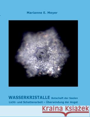 Wasserkristalle Botschaft der Seelen: Licht und Schattenarbeit Überwindung der Angst Meyer, Marianne 9783752667578 Books on Demand