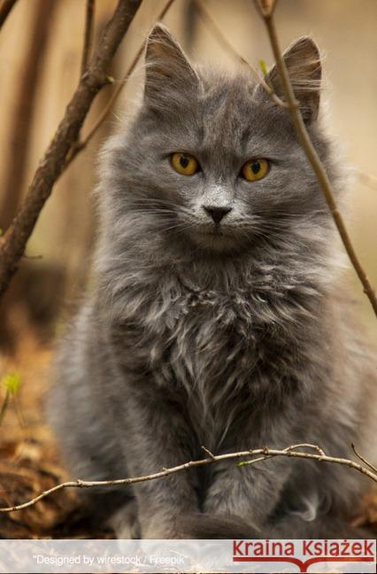 Süßes Katzen Notizbuch Businessplaner Geschenkidee für Mann Frau und Kind : Notizbuch und Planer 60 blanko Seiten Geschenke Health, Notizbuch 9783752938067 epubli